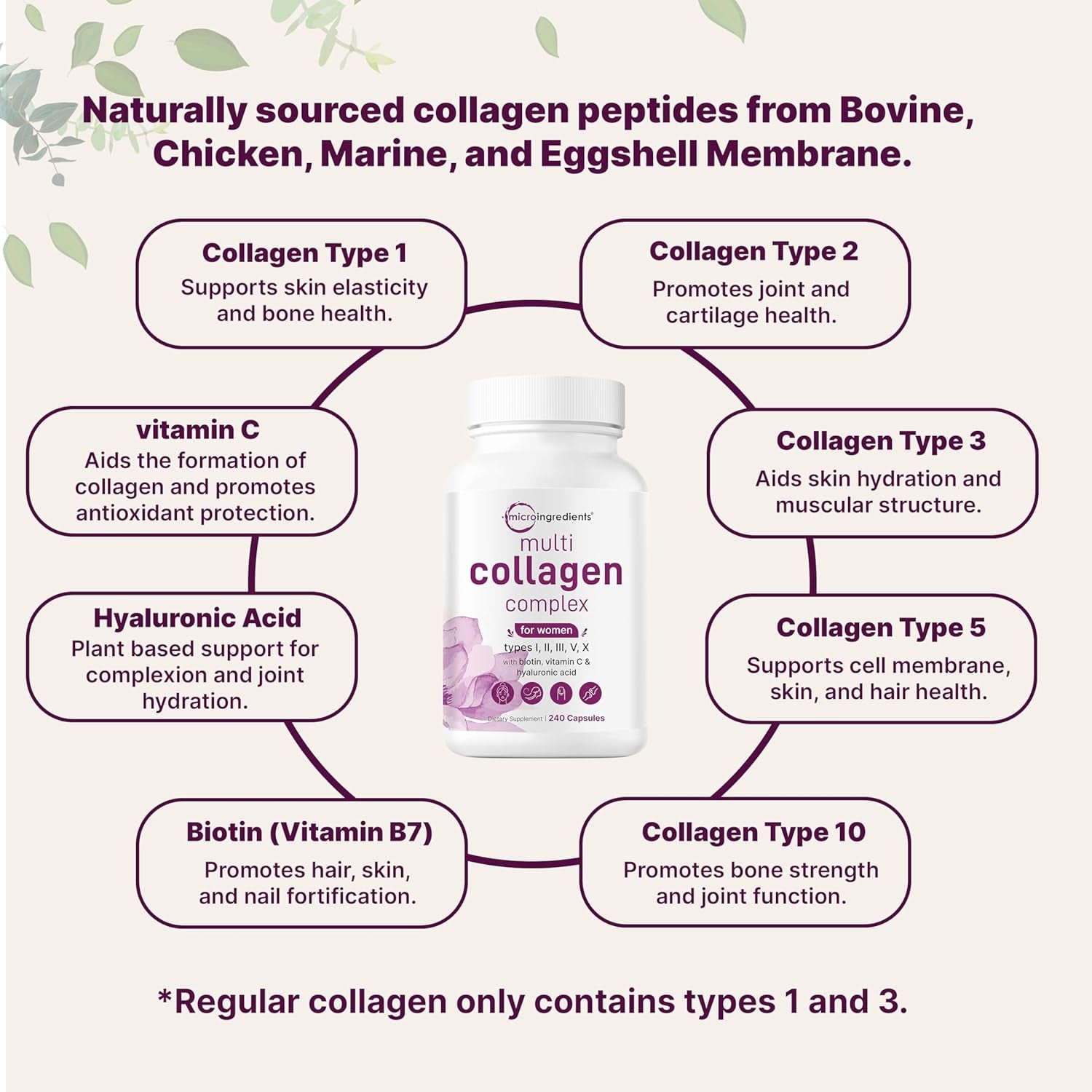 Multi Collagen Pills for Women & Men, 240 Capsules | Hydrolyzed Collagen with Biotin, Hyaluronic Acid & Vitamin C | Hair, Skin, Nail & Joint Support